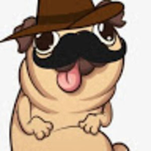 Meet your Posher, Pugz